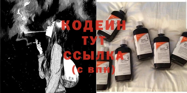 прущие грибы Касимов