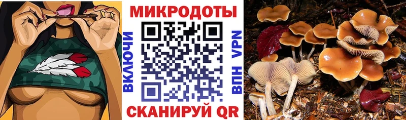Купить где  Калининск  Галлюциногенные грибы мицелий 